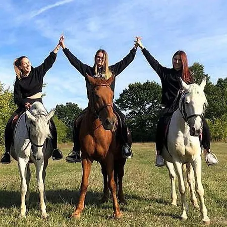 - Rozic Villa Mostar